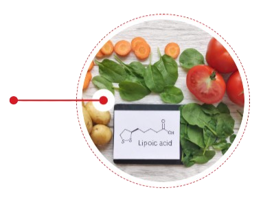 Alpha-Lipoic Acid