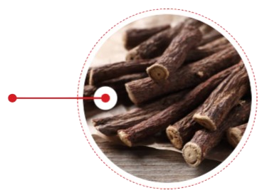 Licorice Root Extract